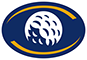 Men's Golf