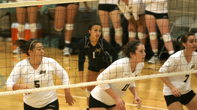 Volleyball Recap (Week 8) - Around the SCAC
