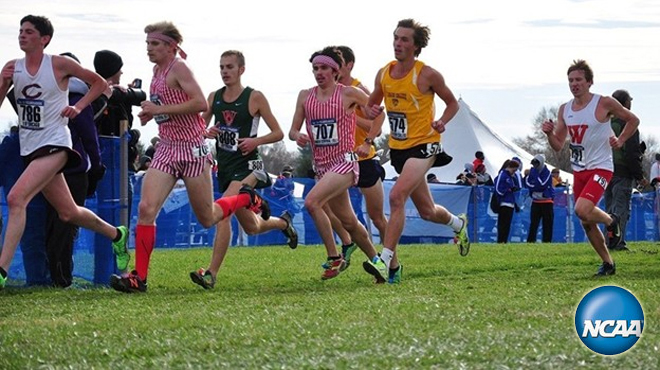 Colorado College's Hall 60th at NCAA Men's Cross Country Championship