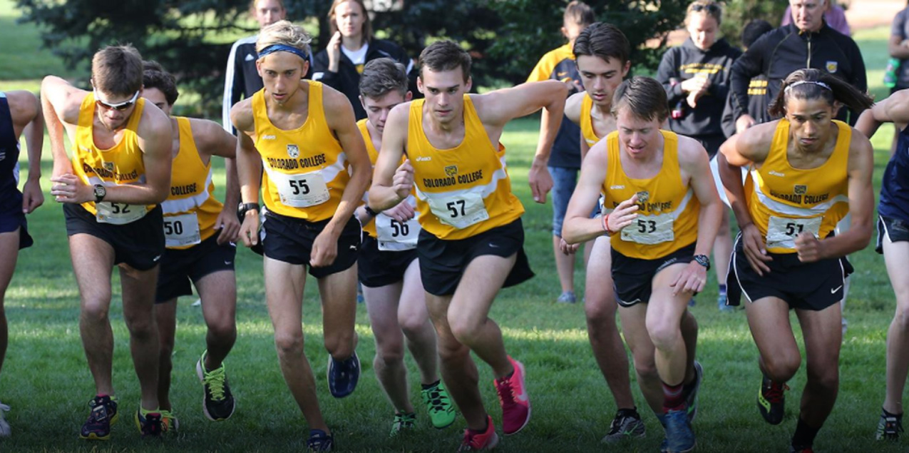 Colorado College's Blackburn, Trinity's Bellow and Brown Highlight NCAA Cross Country Regional Performances
