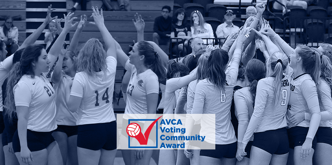 Two SCAC Programs Earn AVCA Voting Community Award